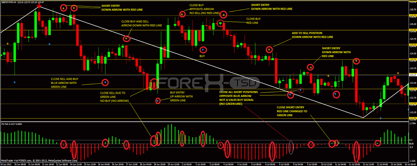 Forex Trading Markets The Worlds Leading Trading Platform